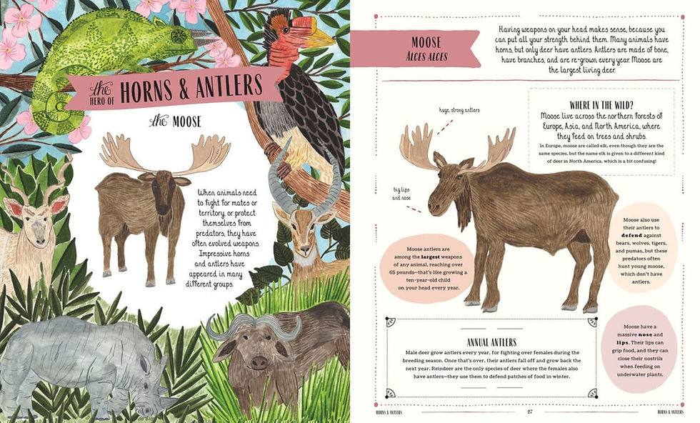 Thumbnail: Wild: A Family Guide to the Animal Kingdom