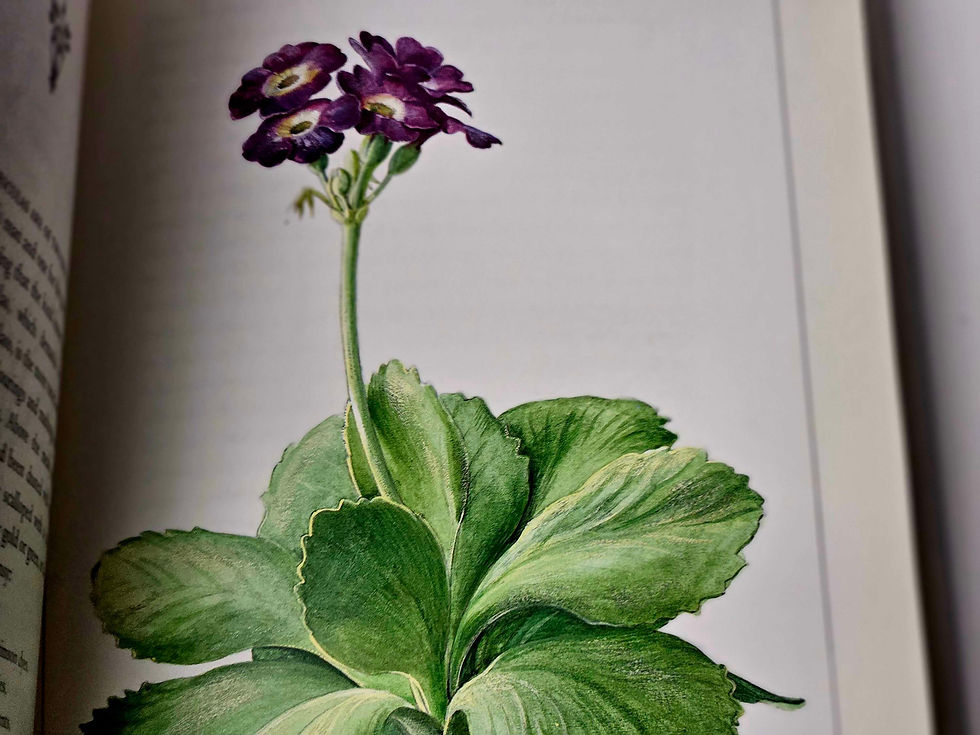Thumbnail: Vita Sackville-West Some Flowers Watercolors by Graham Rust Harry N. Abrams 1993