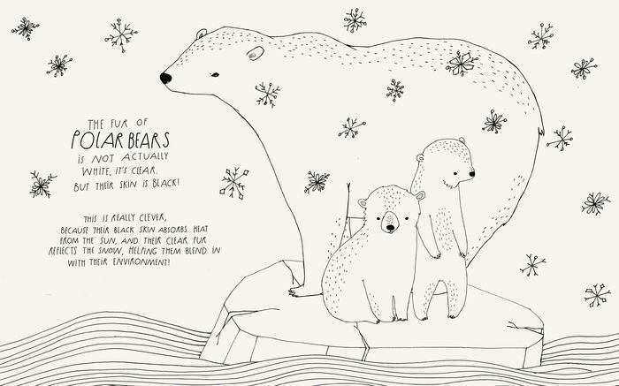 Thumbnail: The Illustrated Compendium of Amazing Animal Facts