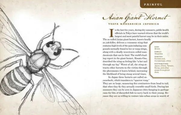 Thumbnail: Wicked Bugs: The Louse That Conquered Napoleon's Army & Other Diabolical Insects