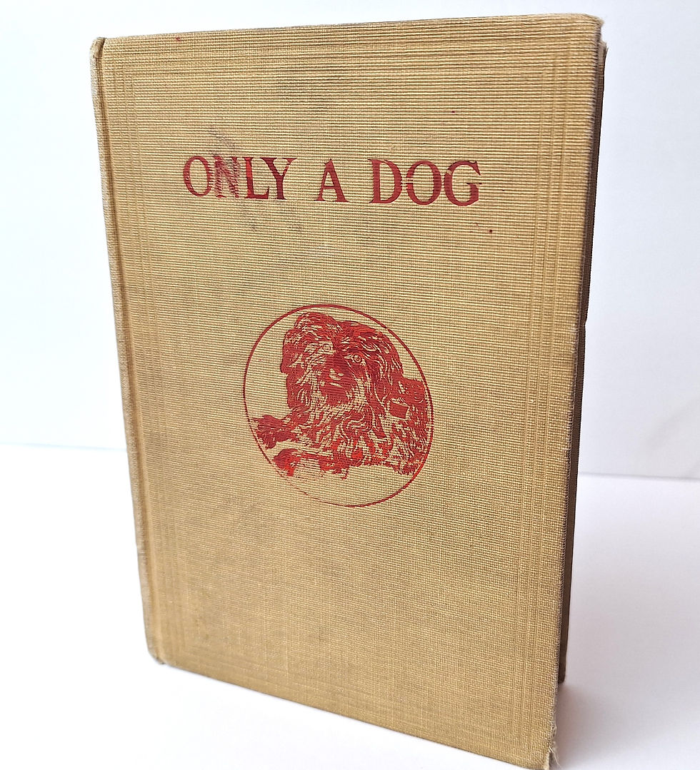 Thumbnail: Only a dog; or, Our pet by Maria Bruce Lyman