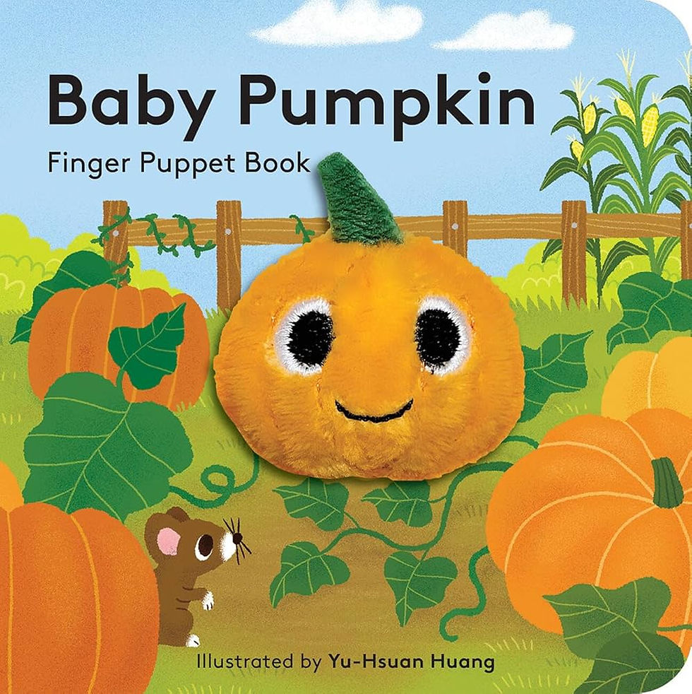 Front cover page of " Baby Pumpkin" a book for children