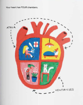 Thumbnail: Octopuses Have Zero Bones: A Counting Book about Our Amazing World