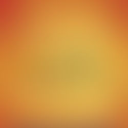 Great Titles at "Bargain Basement" Prices...