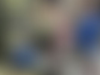 7月場所を終えて・・