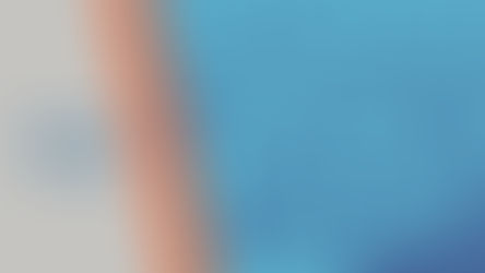 Businesses on social media