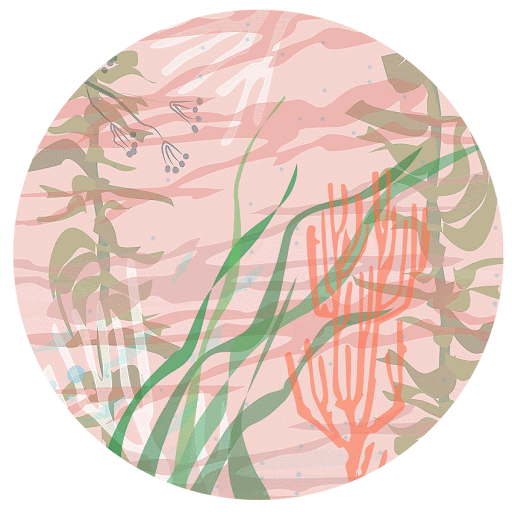 animation-poisson.gif