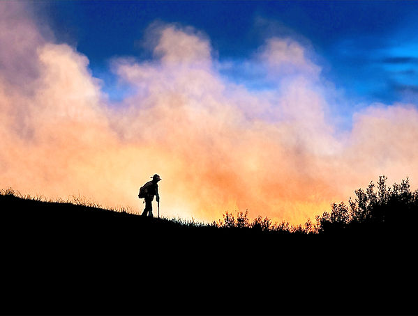 C29389AB-3E74-4CA7-8C18-4497551C4CB5_edi