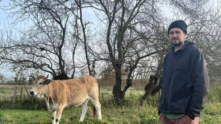 image_2025-08-17_165552945