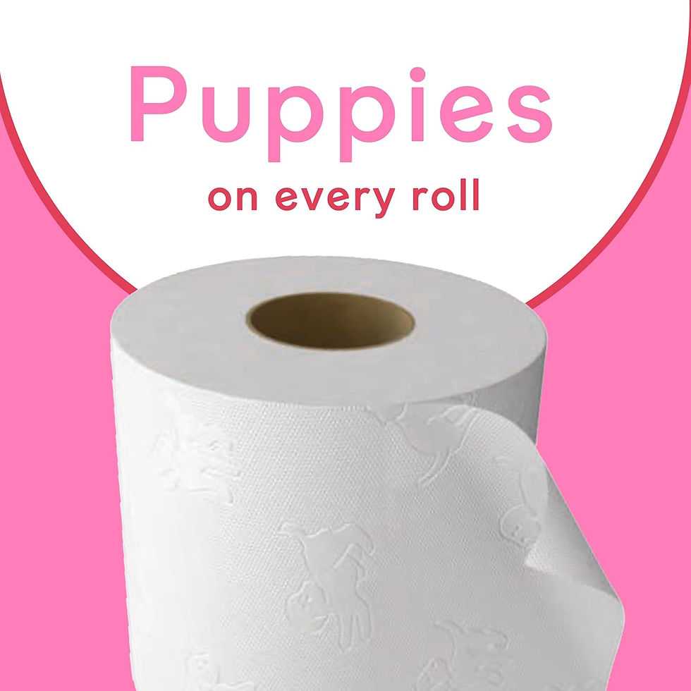 Miniatura: Andrex Family Soft Toilet Paper – 72 Rolls of Gentle, Strong & Absorbent Bathroom Tissue