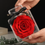 Thumbnail: Eternal Flower Rose Preserved in Acrylic – Perfect Gift for Mother’s Day & Valentine’s Day