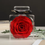 Thumbnail: Eternal Flower Rose Preserved in Acrylic – Perfect Gift for Mother’s Day & Valentine’s Day