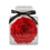 Thumbnail: Eternal Flower Rose Preserved in Acrylic – Perfect Gift for Mother’s Day & Valentine’s Day