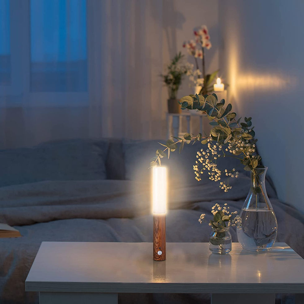 Miniatura: 4Pcs LED Motion and Night Sensor