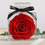 Thumbnail: Eternal Flower Rose Preserved in Acrylic – Perfect Gift for Mother’s Day & Valentine’s Day