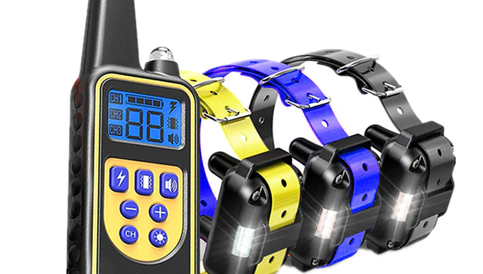 Electric Dog Training Collar with Remote Control