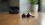 Top Wireless Earbuds UK: Best Bluetooth Wireless Earbuds in the UK