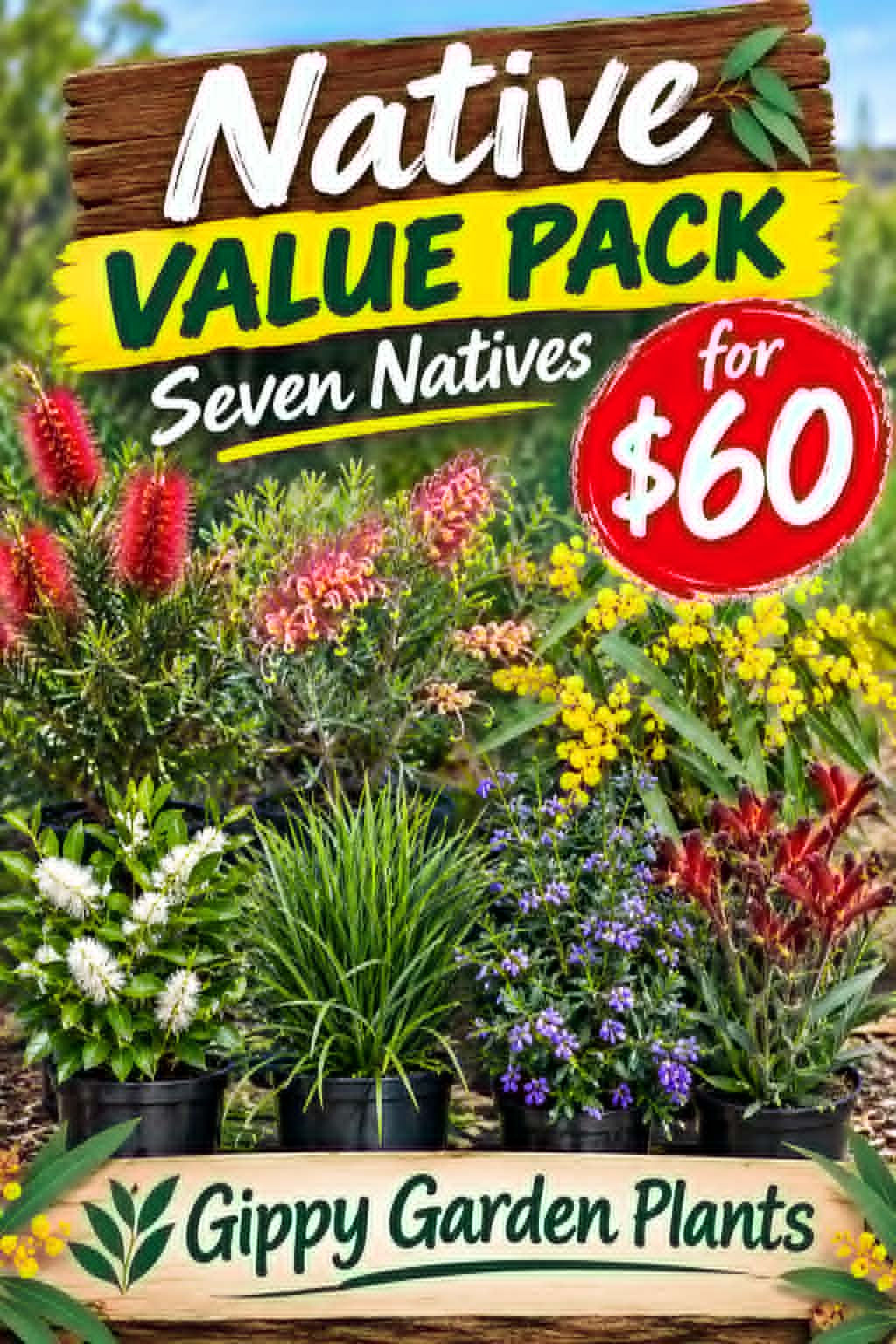 NATIVE VALUE PACK - SEVEN NATIVES FOR $60