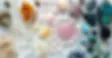 les-bases-de-la-lithotherapie_1600x.webp