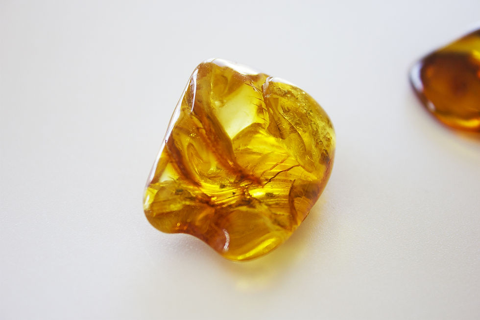 Miniature : Pierre roulée d'Ambre Baltique