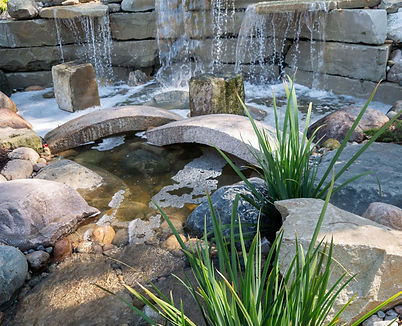 draining and cleaning backyard pond Michigan service