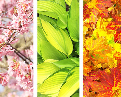 routine landscape maintenance outdoor spaces Mid Michigan