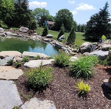 backyard eco-pond.jpg