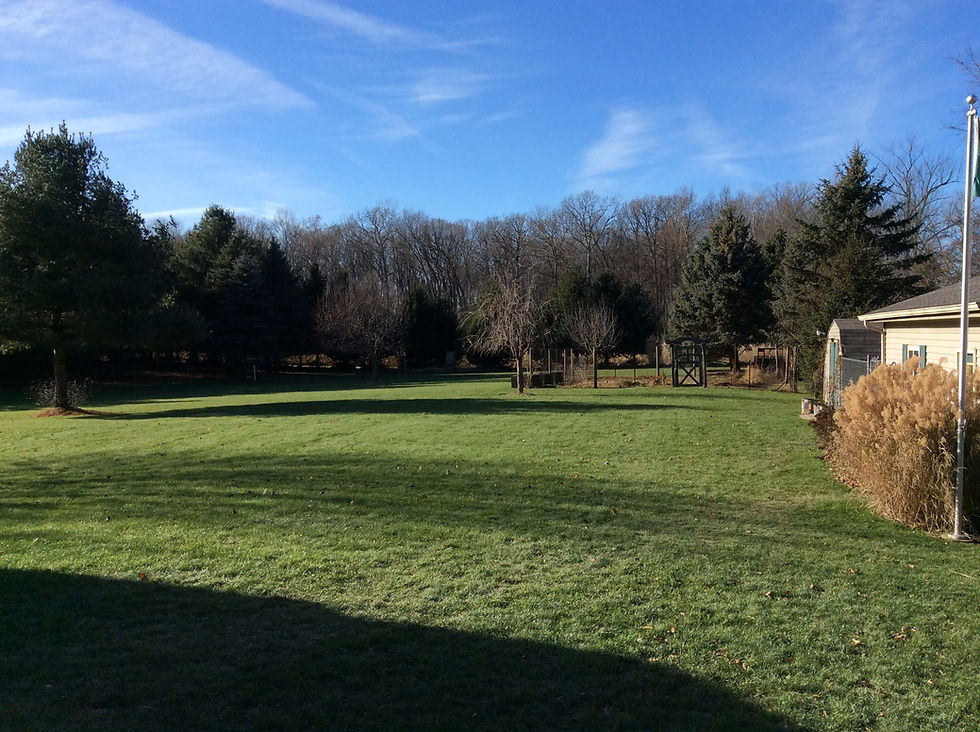 Backyard Eco Pond