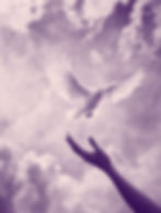 Hand Releases White Dove