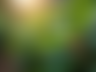 Discover the Benefits of Sustainable Coffee