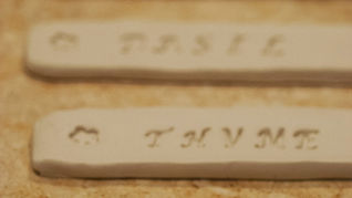 An Herb By Any Other Name... 