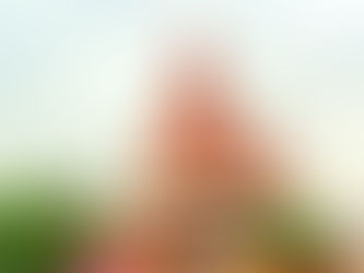 10 Stunning Places to See in Patna, Bihar