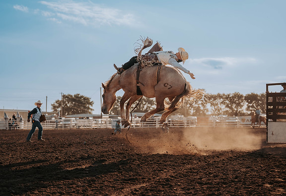 WD Ranches Photo-1.jpg