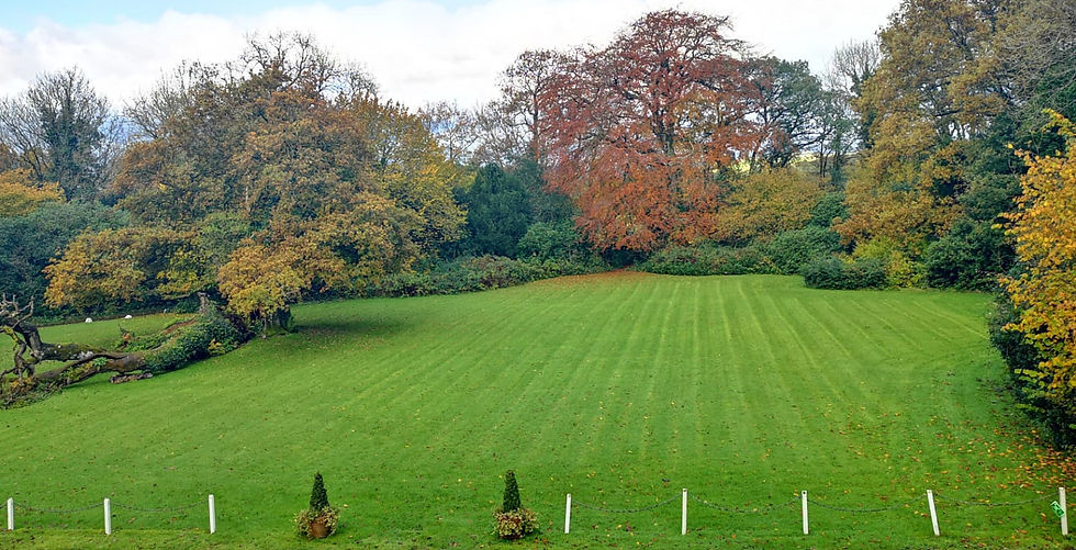 autumn-lawn-glansevin.jpg