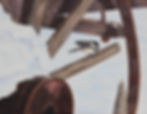 chickadee in winter