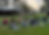 Screenshot 2026-05-23 at 2.07.59 pm.png