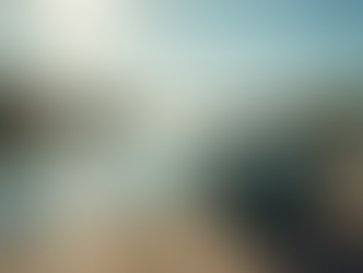 Top Fishing Tips for Beginners: Gear and Techniques