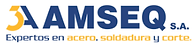 3A AMSEQ.png