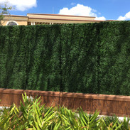 Side by Side Hedge Walls