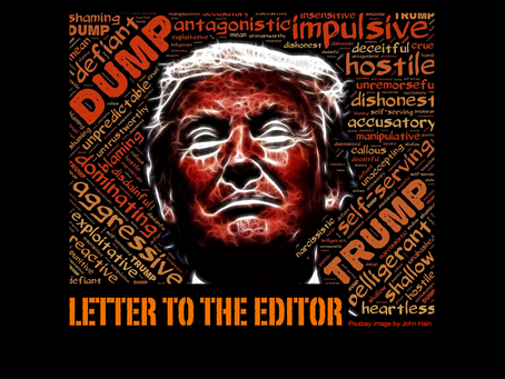 Trump finally wins the popular vote, Brunswick Beacon