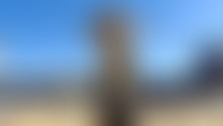 Letter to the editor: Trump’s Epstein cover-up makes MAGA mega mad