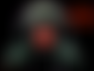 Big Brother rewrites history, Brunswick Beacon