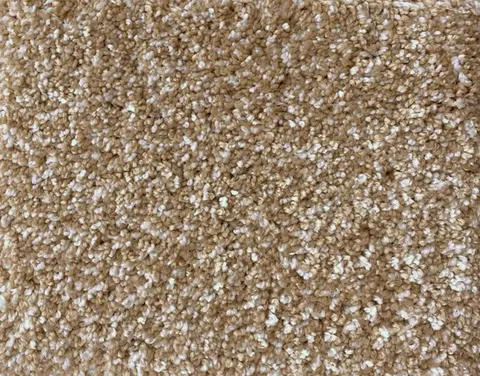 Carpet Choice