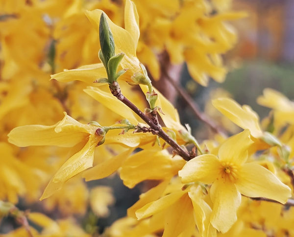 WhatsApp Image 2026-04-03 at 17.49.50.jpeg