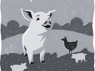 The presence of a pet is a source of emotional support.