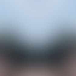 名古屋城と桜の写真（対象に編集加工）想起させる写真