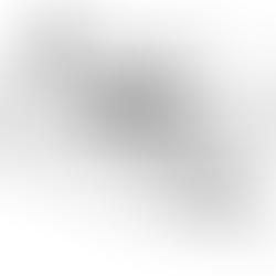 知的障害者の純朴さ・実直さ