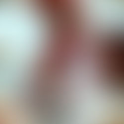 Música Tradicional Huichol