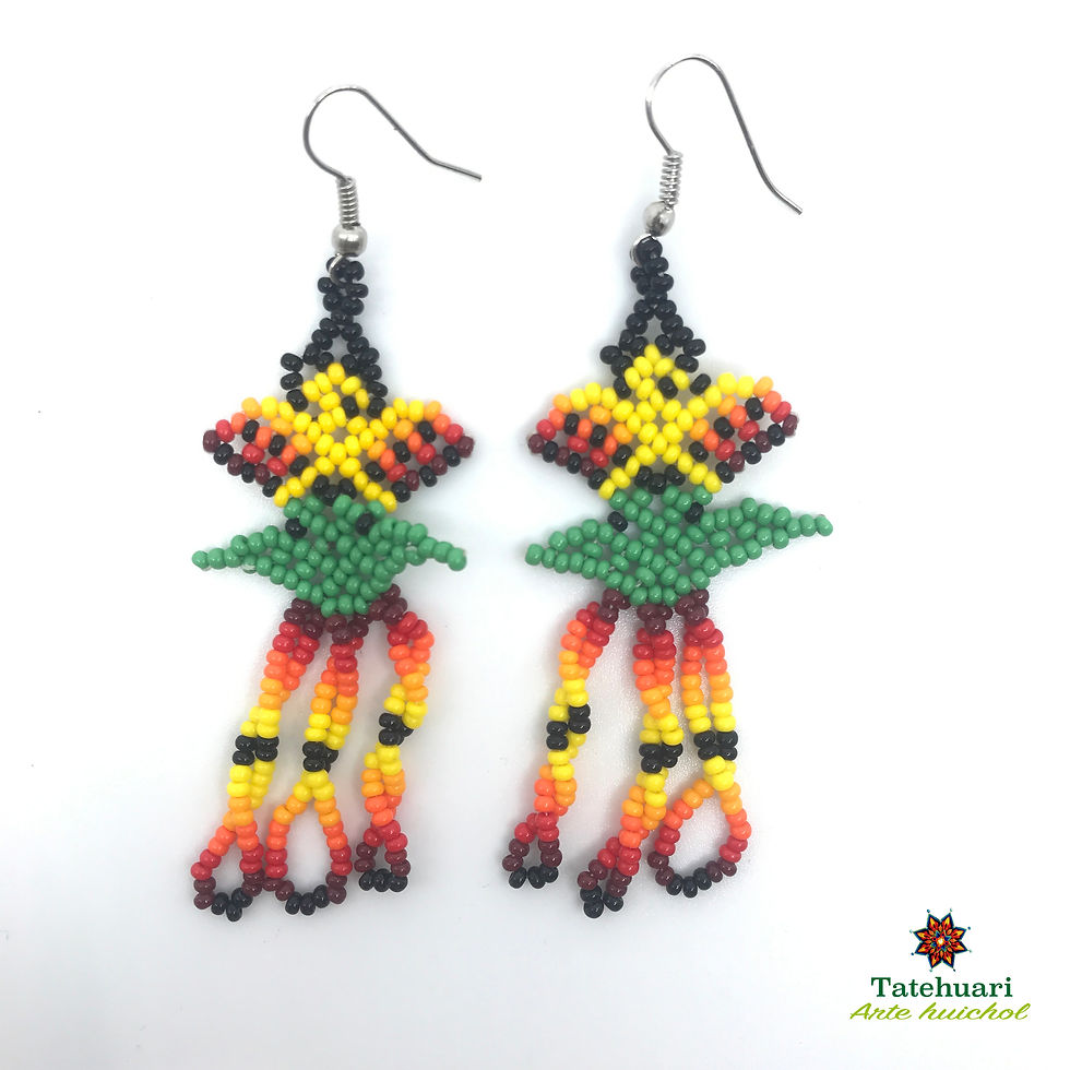 Aretes de Chaquira - Arte Huichol