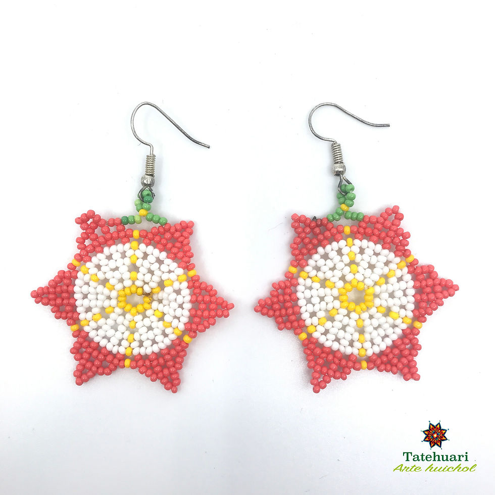 Aretes de Chaquira - Arte Huichol